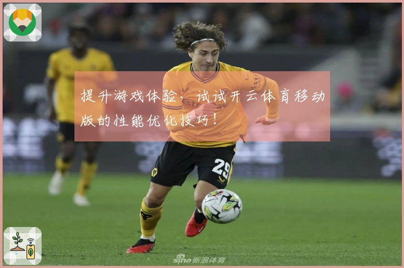 提升游戏体验，试试开云体育移动版的性能优化技巧！